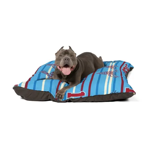 Delaware State 1891 Red & Blue Pet Bed — other view