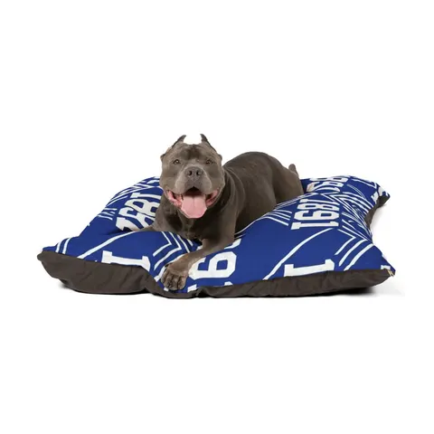 Elizabeth City State 1891 Blue & White Pet Bed — other view