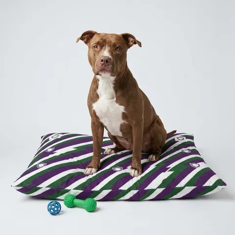 Faith Flag AME-Inspired Purple & Green Pet Bed