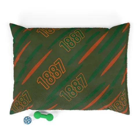 FAMU 1887 Orange & Green Energy Pet Bed — front view