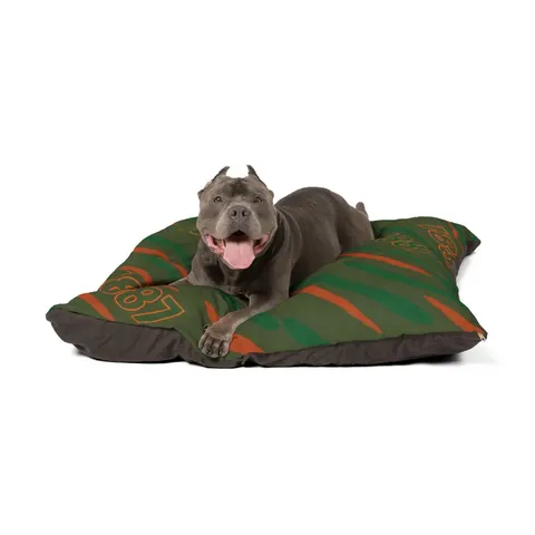 FAMU 1887 Orange & Green Energy Pet Bed — other view