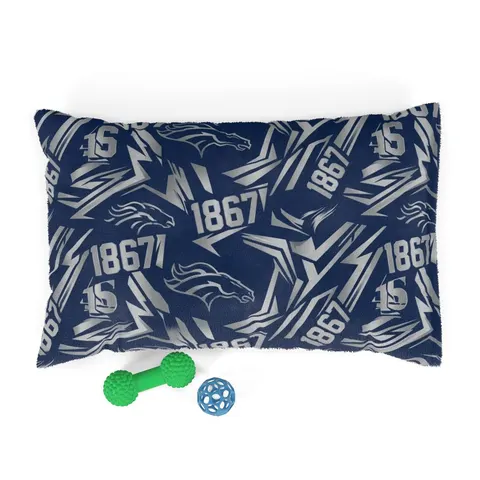 Fayetteville State 1867 Blue & Silver Pet Bed — front view