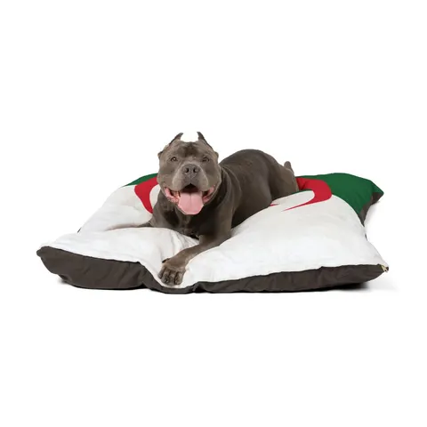 Algeria Green White Red Crescent Pet Bed — other view