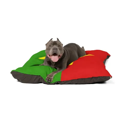 Burkina Faso Red Green Star Pet Bed — other view