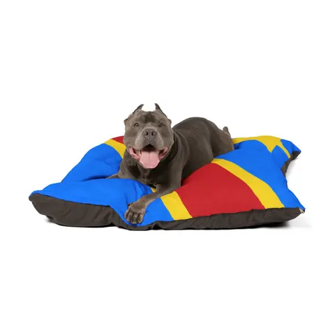 DR Congo Sky Blue & Red Diagonal Pet Bed — other view