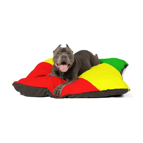 Republic of the Congo Diagonal Tricolor Pet Bed — other view