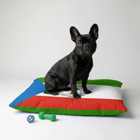 Equatorial Guinea Tricolor & Triangle