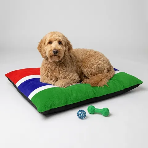 Gambia Red Blue Green