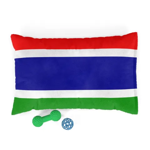 Gambia Red Blue Green Pet Bed — front view