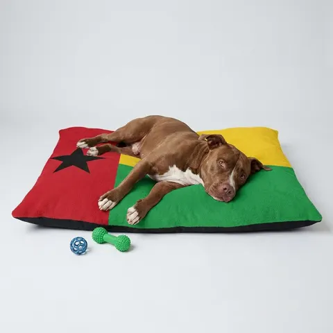 Guinea-Bissau Red Yellow Green Star