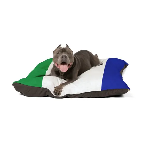 Lesotho Blue White Green Emblem Pet Bed — other view
