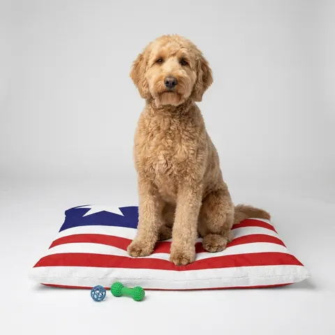 Liberia Stripes & Single Star Pet Bed