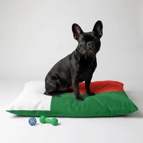 Madagascar White Red Green