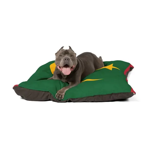 Mauritania Green Gold Crescent Pet Bed — other view