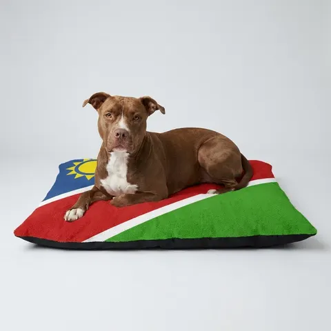 Namibia Diagonal Blue Red Green Pet Bed