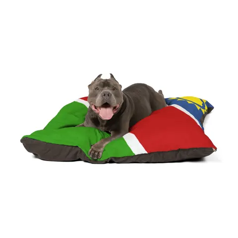 Namibia Diagonal Blue Red Green Pet Bed — other view
