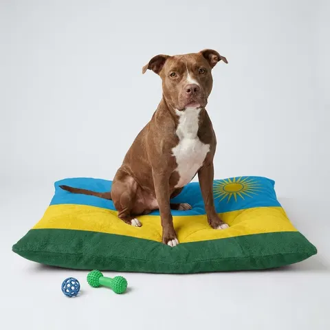 Rwanda Sky Blue & Sun Pet Bed