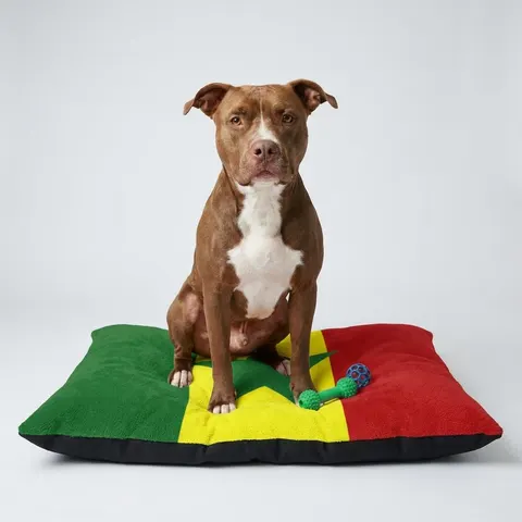 Senegal Green Yellow Red Pet Bed