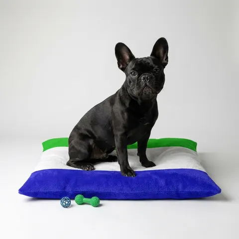 Sierra Leone Green White Blue Pet Bed