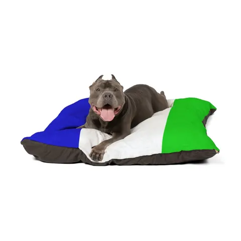 Sierra Leone Green White Blue Pet Bed — other view