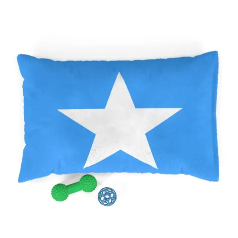 Somalia Blue White Star Pet Bed — front view