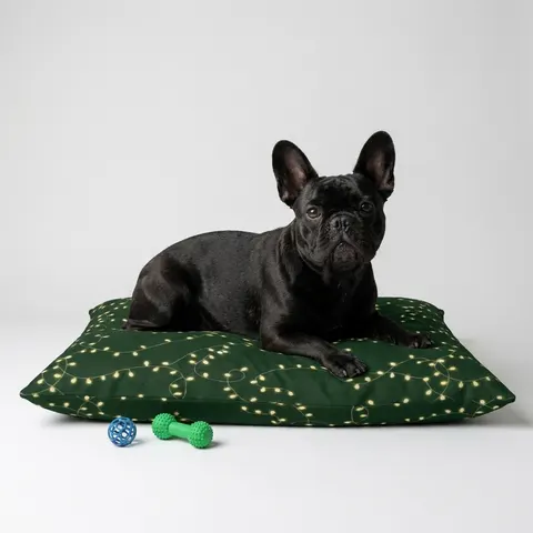 Holiday String Lights on Green Pet Bed