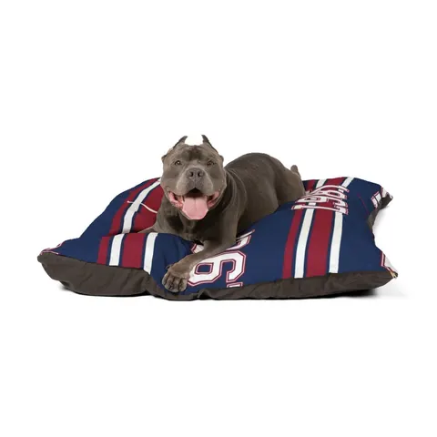 Howard 1867 Navy & Crimson Pet Bed — other view