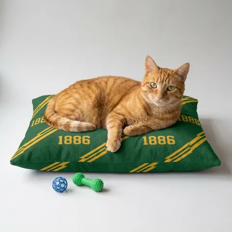 Kentucky State 1886 Green & Gold