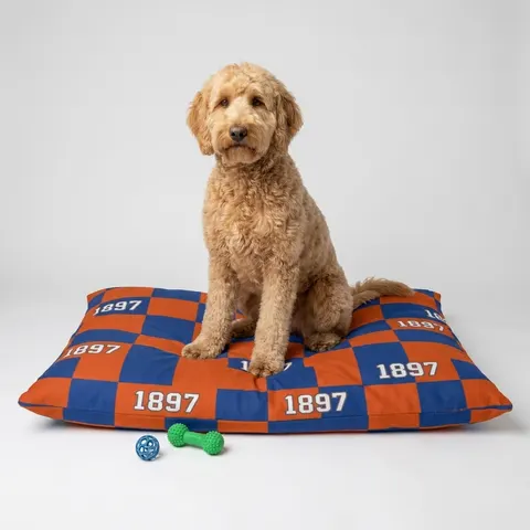 Langston 1897 Orange & Blue Pet Bed