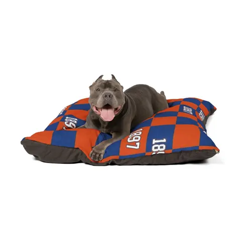 Langston 1897 Orange & Blue Pet Bed — other view