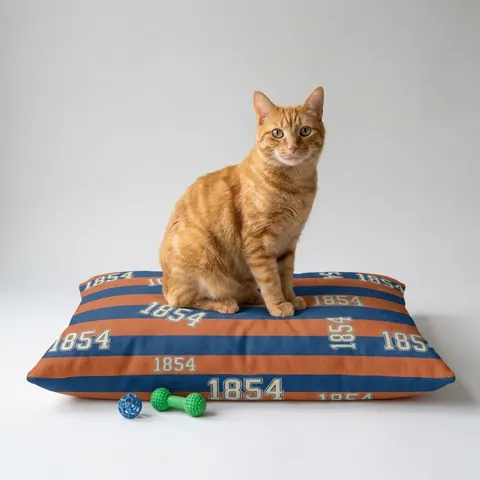 Lincoln (PA) 1854 Blue & Orange