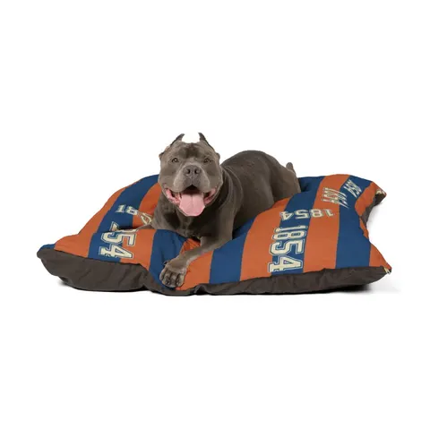 Lincoln (PA) 1854 Blue & Orange Pet Bed — other view