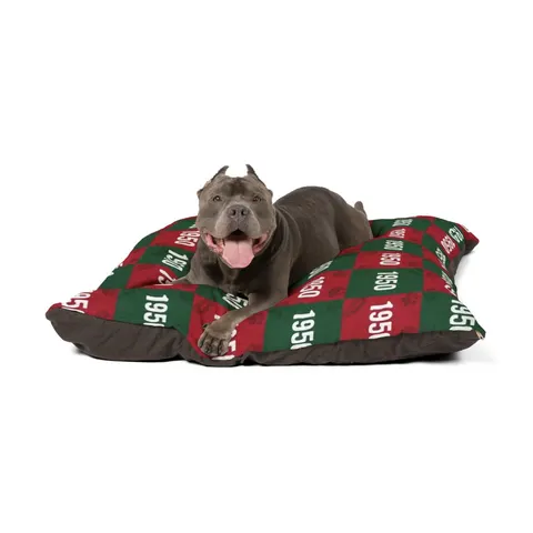 Mississippi Valley State 1950 Green & Red Pet Bed — other view