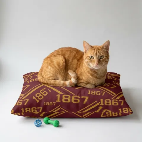 Morehouse 1867 Maroon & Gold Classic Pet Bed