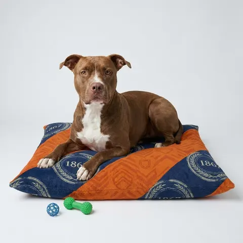 Morgan State 1867 Orange & Royal Pet Bed