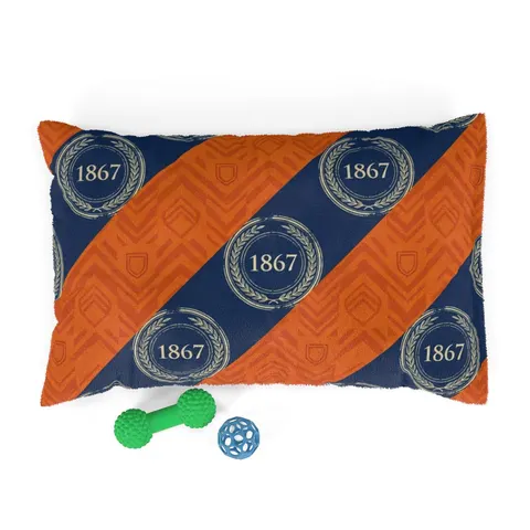 Morgan State 1867 Orange & Royal Pet Bed — front view