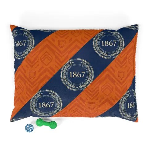 Morgan State 1867 Orange & Royal Pet Bed — front view
