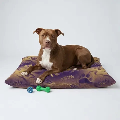 Prairie View 1876 Purple & Gold Pet Bed