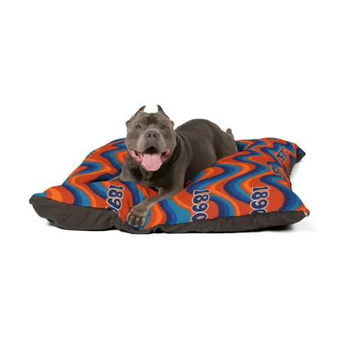 Savannah State 1890 Orange & Blue Pet Bed — other view