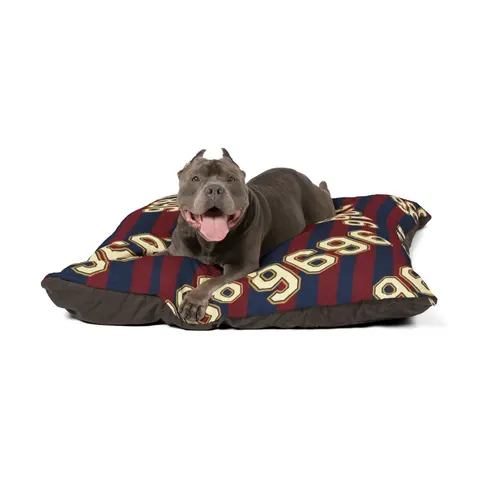 SC State 1896 Garnet & Blue Pet Bed — other view