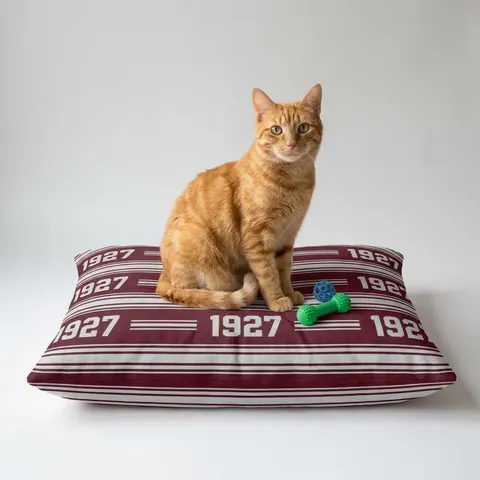 Texas Southern 1927 Maroon & Grey Pet Bed