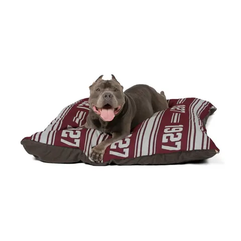 Texas Southern 1927 Maroon & Grey Pet Bed — other view