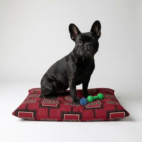 Virginia Union 1865 Crimson & Black Pet Bed