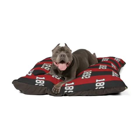 Winston-Salem State 1892 Red & Black Pet Bed — other view