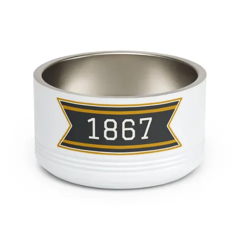 Alabama State 1867 Black & Gold Pet Bowl — front view