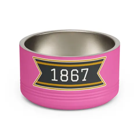 Alabama State 1867 Black & Gold Pet Bowl — front view