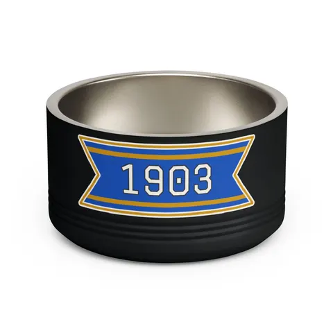 Albany State 1903 Blue & Gold Sunburst Pet Bowl — front view