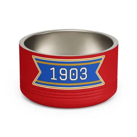 Albany State 1903 Blue & Gold Sunburst Pet Bowl — front view