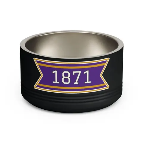 Alcorn 1871 Purple & Gold Academic Pet Bowl — front view