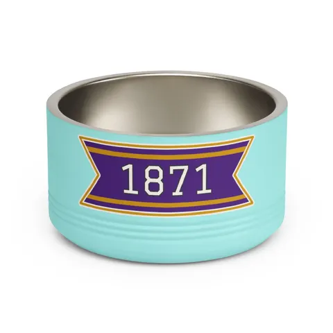 Alcorn 1871 Purple & Gold Academic Pet Bowl — front view